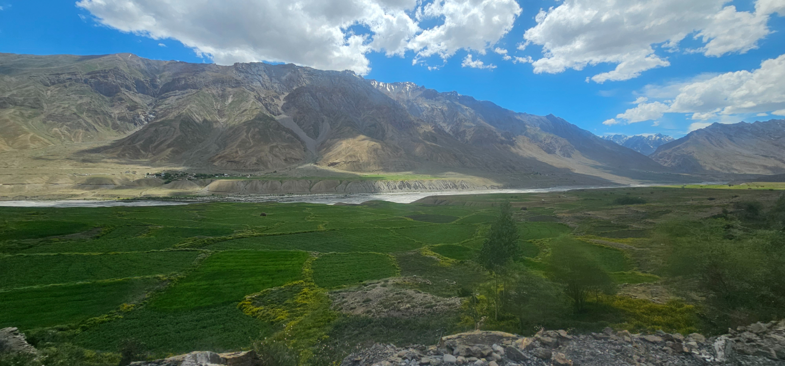 Vibrant green terraced fields contrasting with barren mountains under a blue sky